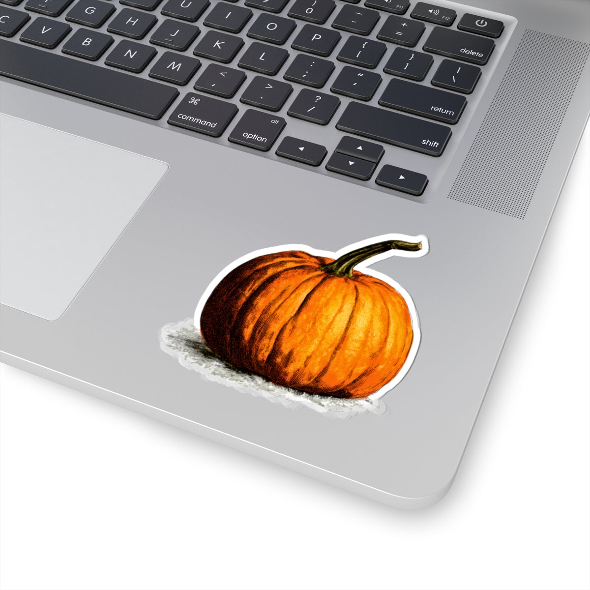 Hand-Painted Pumpkin sticker | Kiss-Cut Stickers