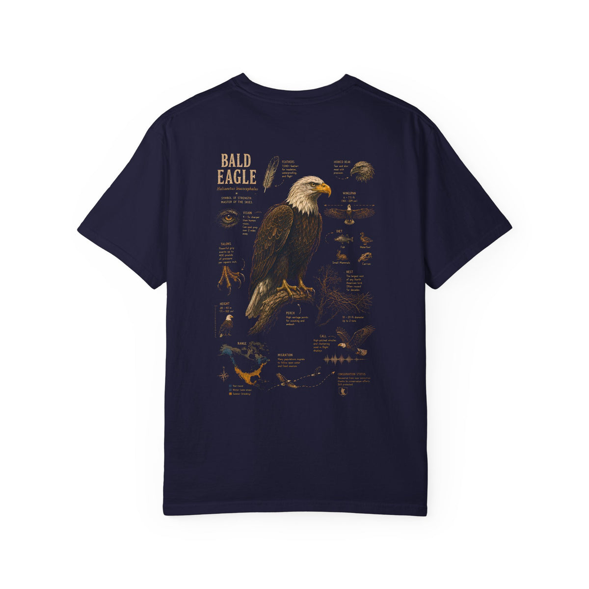 Bald Eagle Shirt, Bird Watching Gift, Eagle Lover Tee, Wildlife Graphic T-Shirt, Nature Lover Shirt, Ornithology Gift, Birder Apparel