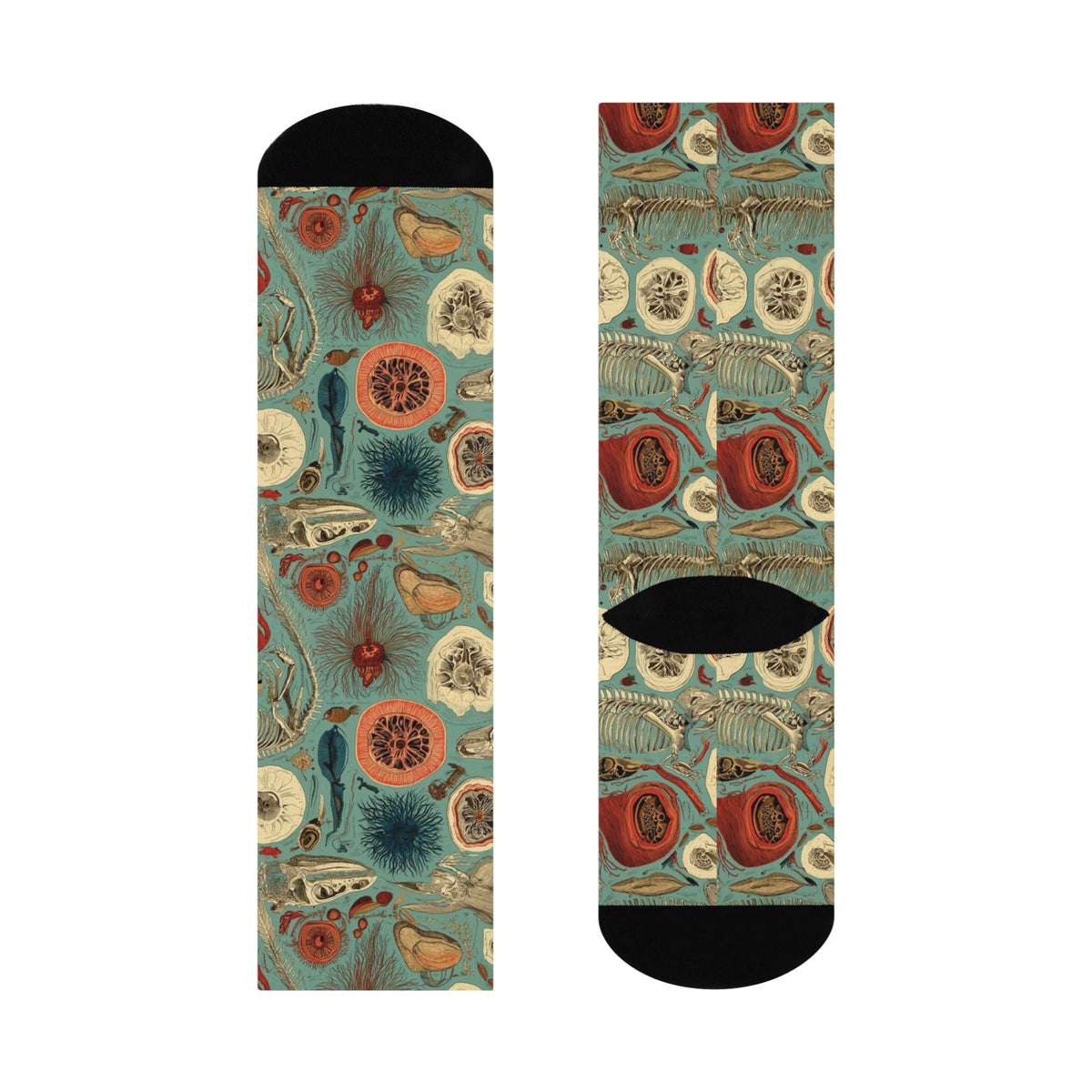 Impossible Zoology Crew Socks | Teal Skeleton Specimen Print