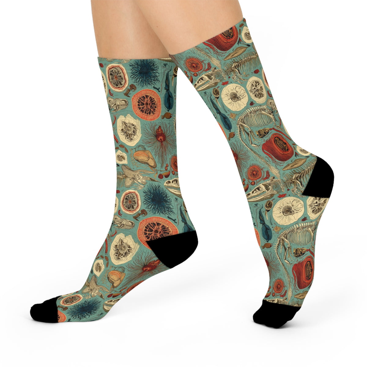 Impossible Zoology Crew Socks | Teal Skeleton Specimen Print