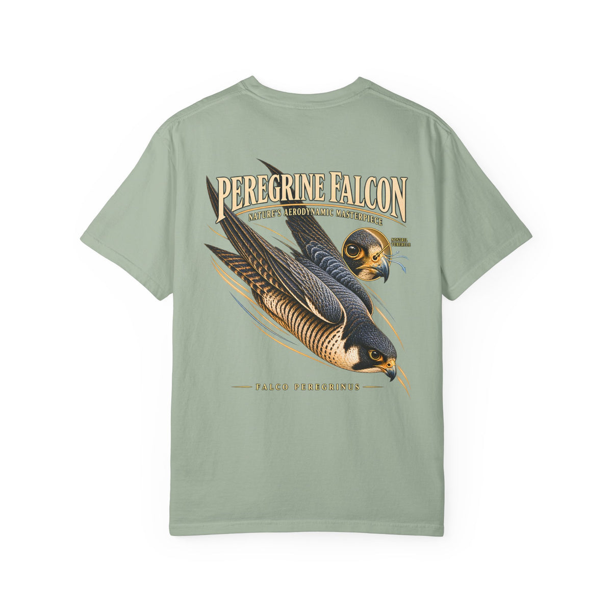 Peregrine Falcon Shirt, Vintage Bird of Prey Graphic Tee, Falconry Gift, Wildlife Lover T-Shirt, Nature Science Shirt, Front and Back Print