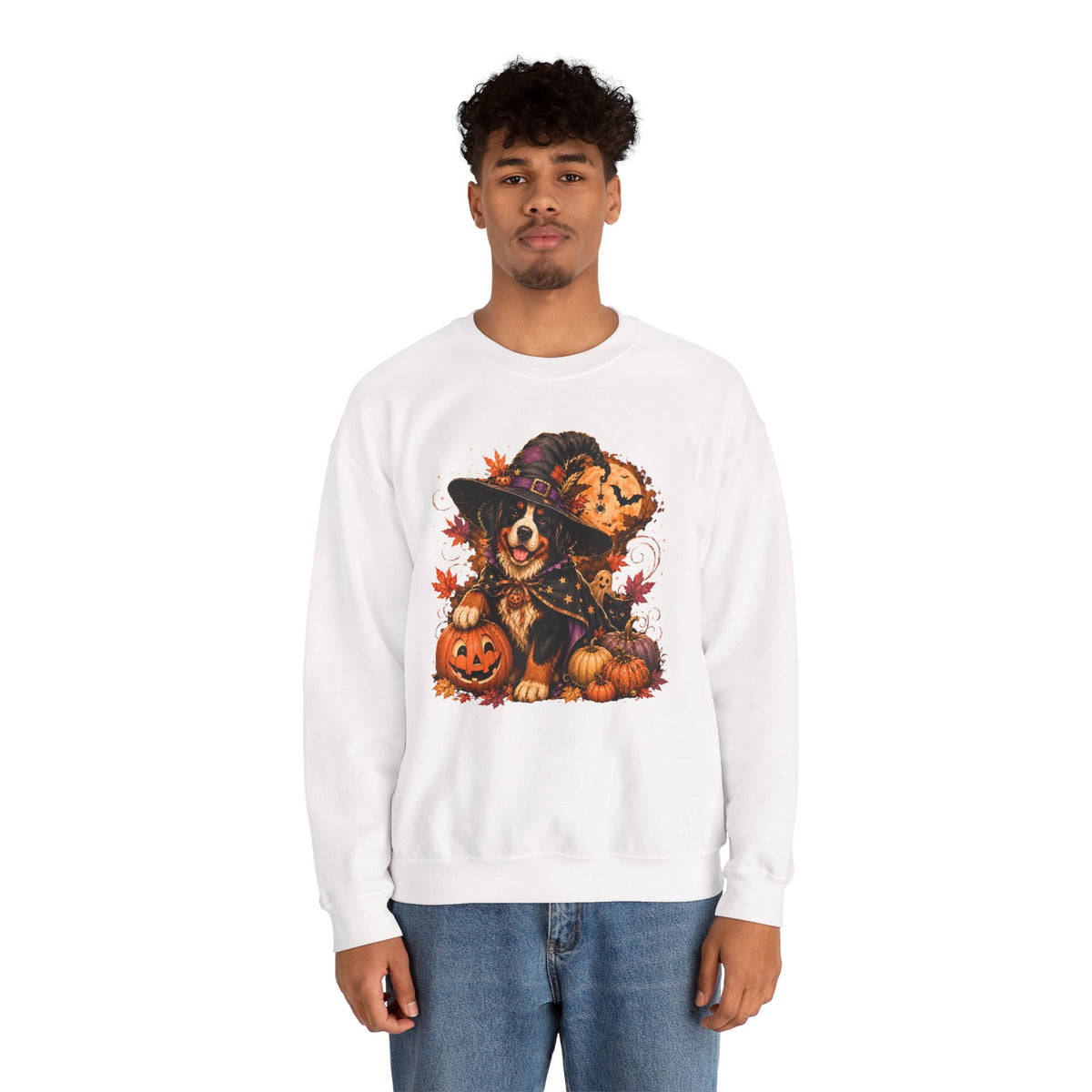 Halloween Witch Dog Sweatshirt | Pumpkin, Jack-o'-Lanterns, Autumn Leaves