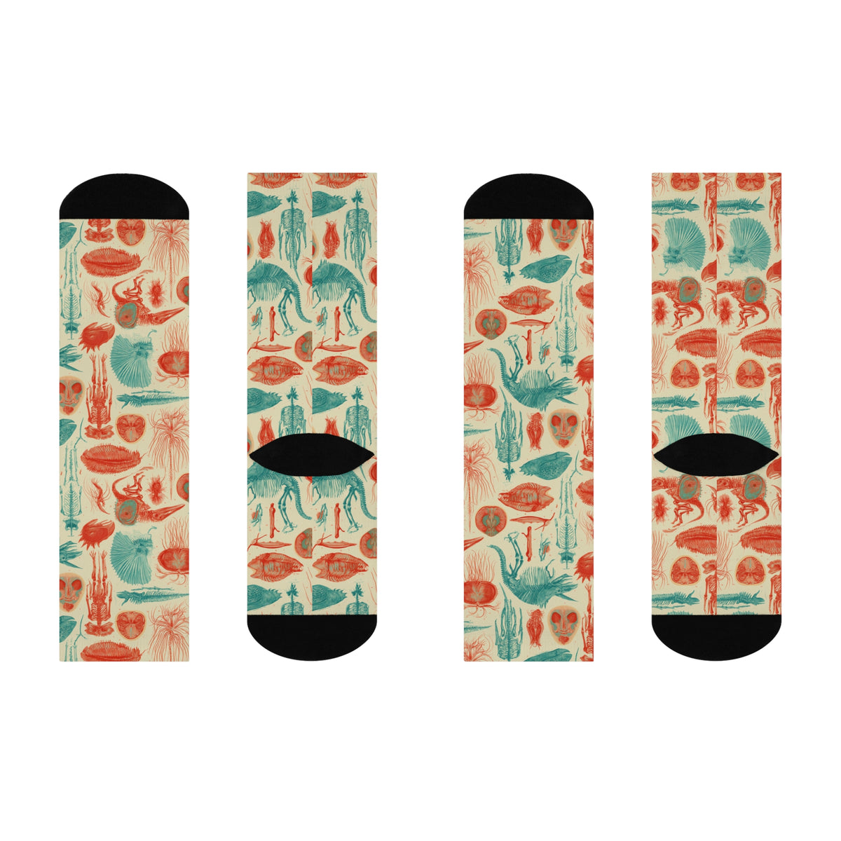 Fantastic Fossils Crew Socks | Coral Teal Anatomy Print
