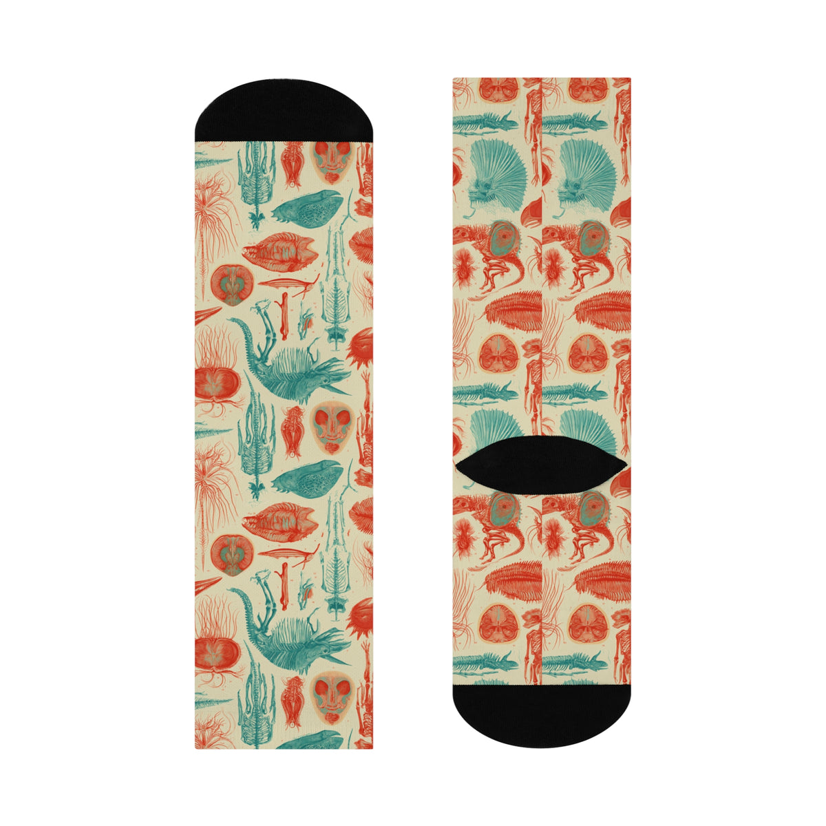 Fantastic Fossils Crew Socks | Coral Teal Anatomy Print