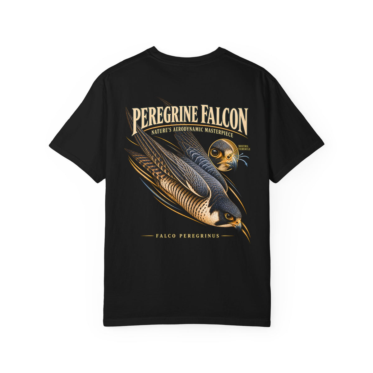 Peregrine Falcon Shirt, Vintage Bird of Prey Graphic Tee, Falconry Gift, Wildlife Lover T-Shirt, Nature Science Shirt, Front and Back Print