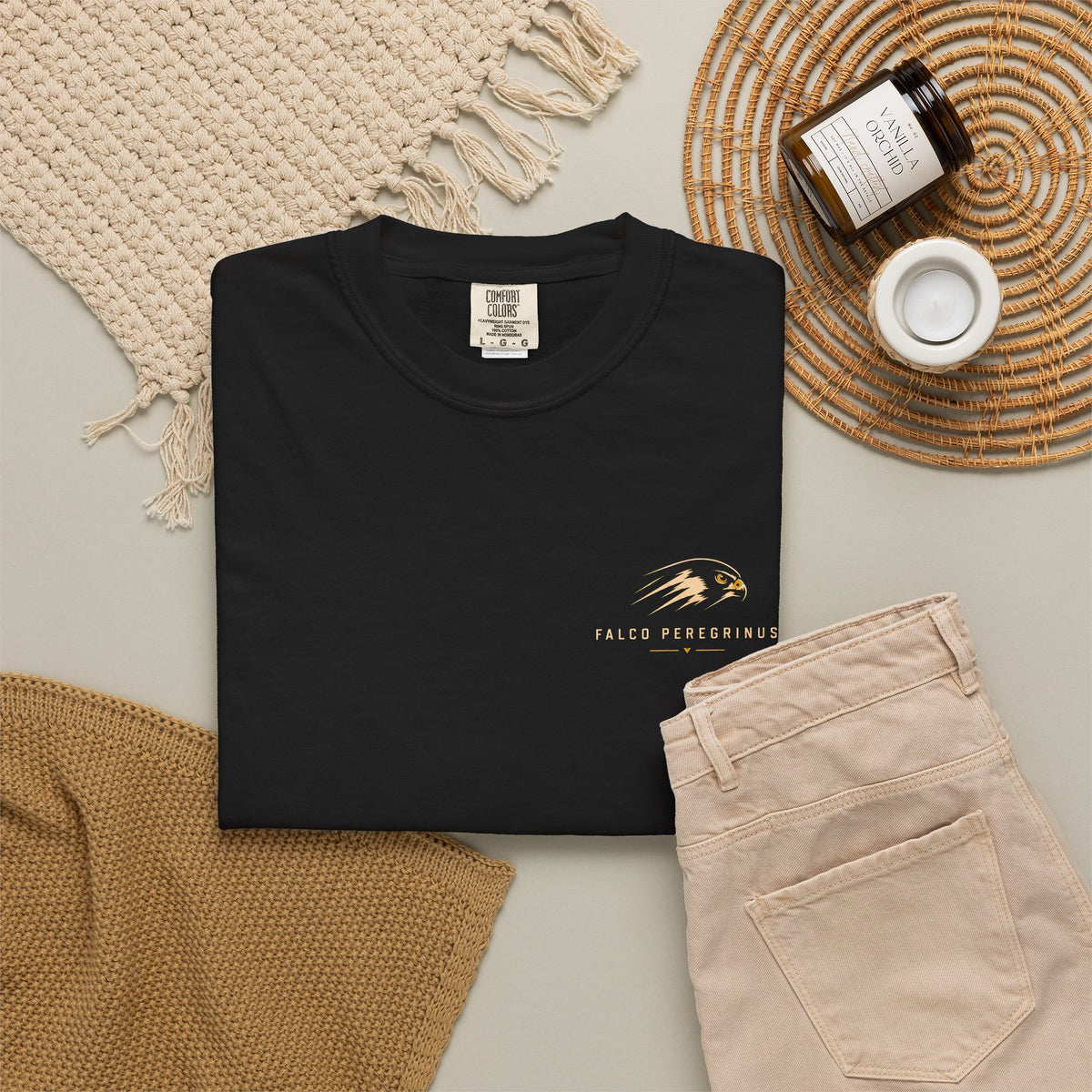 Impact Window Peregrine Falcon Shirt | Flight Deck Series | Falcon Stoop Graphic Tee