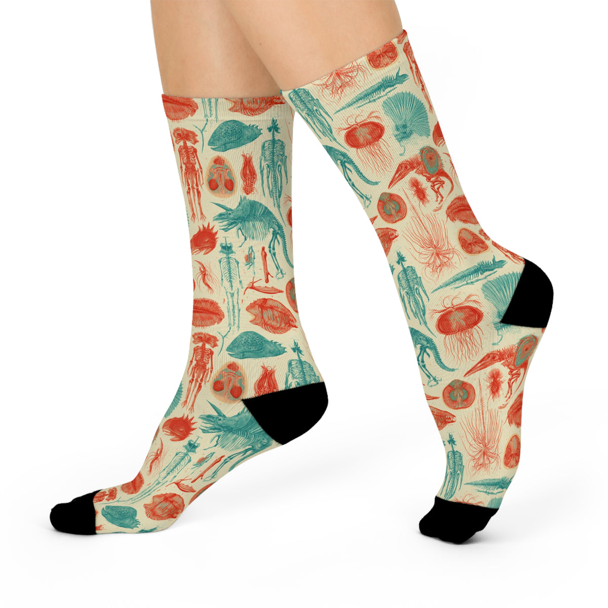 Fantastic Fossils Crew Socks | Coral Teal Anatomy Print