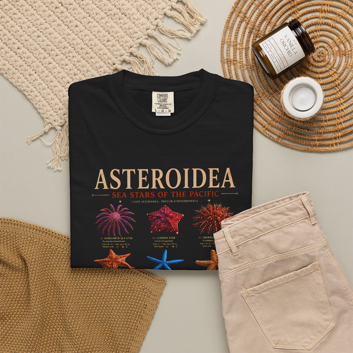 Asteroidea Sea Stars of the Pacific Shirt | Marine Biology Tee | Vintage Ocean Life Graphic Shirt | Echinoderm Nature Tee