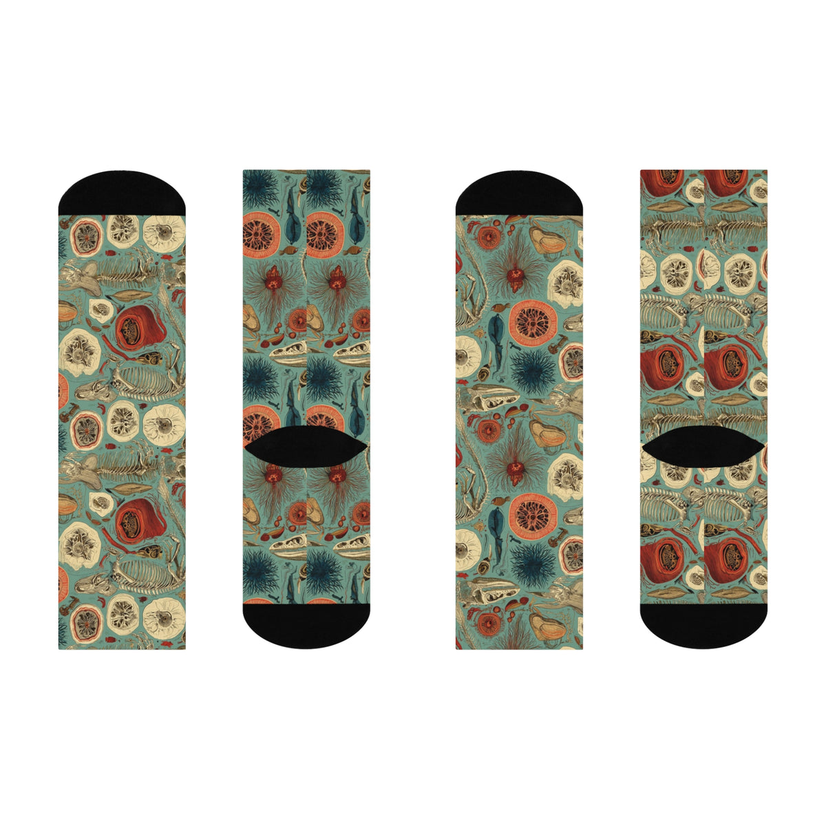 Impossible Zoology Crew Socks | Teal Skeleton Specimen Print