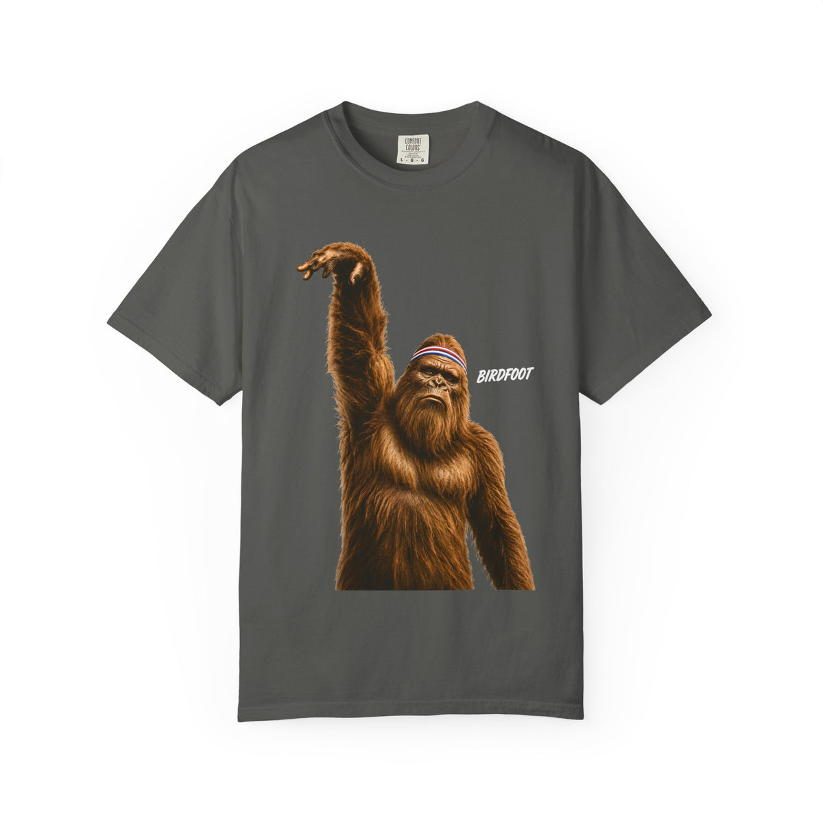 Birdfoot Bigfoot Basketball Shirt, Funny Sasquatch Sports, Vintage Basketball Graphic, Larry Bird Inspired Cryptid T-Shirt, Comfort Colors