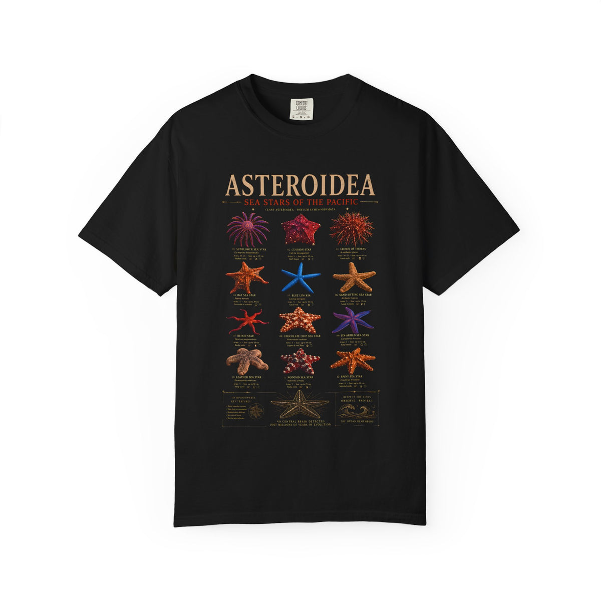 Asteroidea Sea Stars of the Pacific Shirt | Marine Biology Tee | Vintage Ocean Life Graphic Shirt | Echinoderm Nature Tee