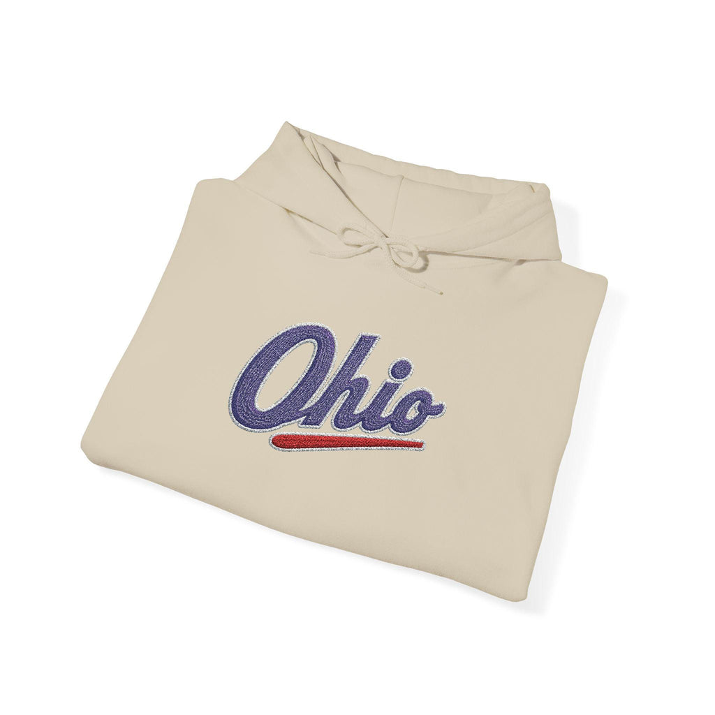 Embroidered Ohio Hoodie | Vintage Script Sweatshirt, Unisex Pullover