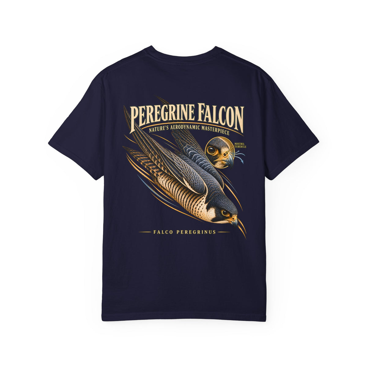 Peregrine Falcon Shirt, Vintage Bird of Prey Graphic Tee, Falconry Gift, Wildlife Lover T-Shirt, Nature Science Shirt, Front and Back Print