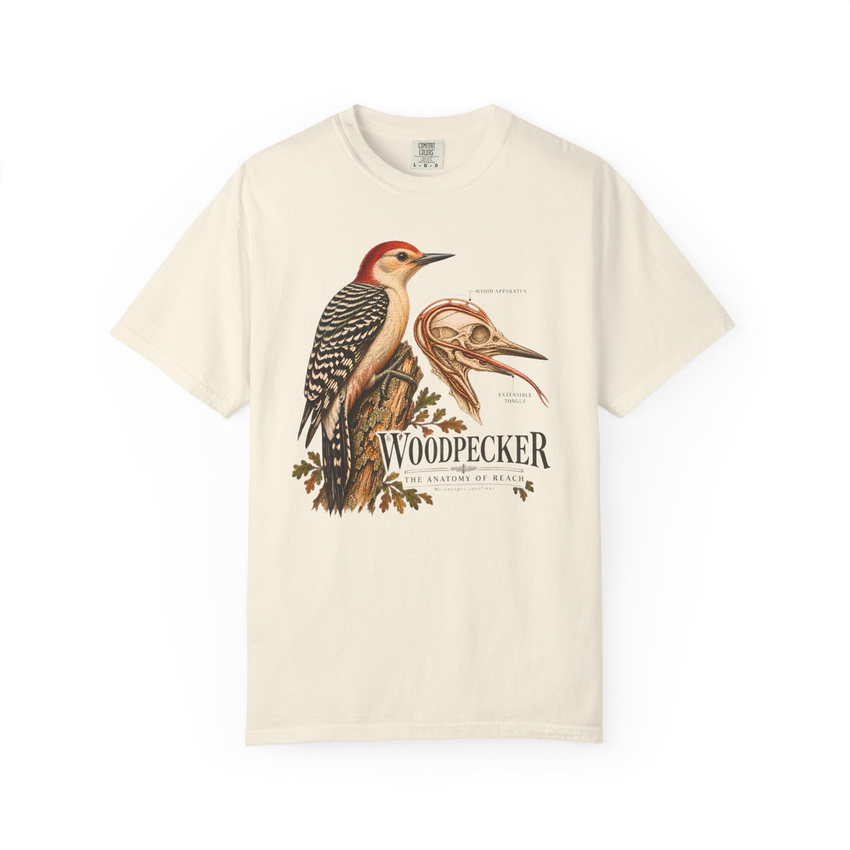 Woodpecker Anatomy Shirt, Vintage Bird Graphic Tee, Red Bellied Woodpecker, Ornithology Gift, Wildlife Science T-Shirt, Comfort Colors