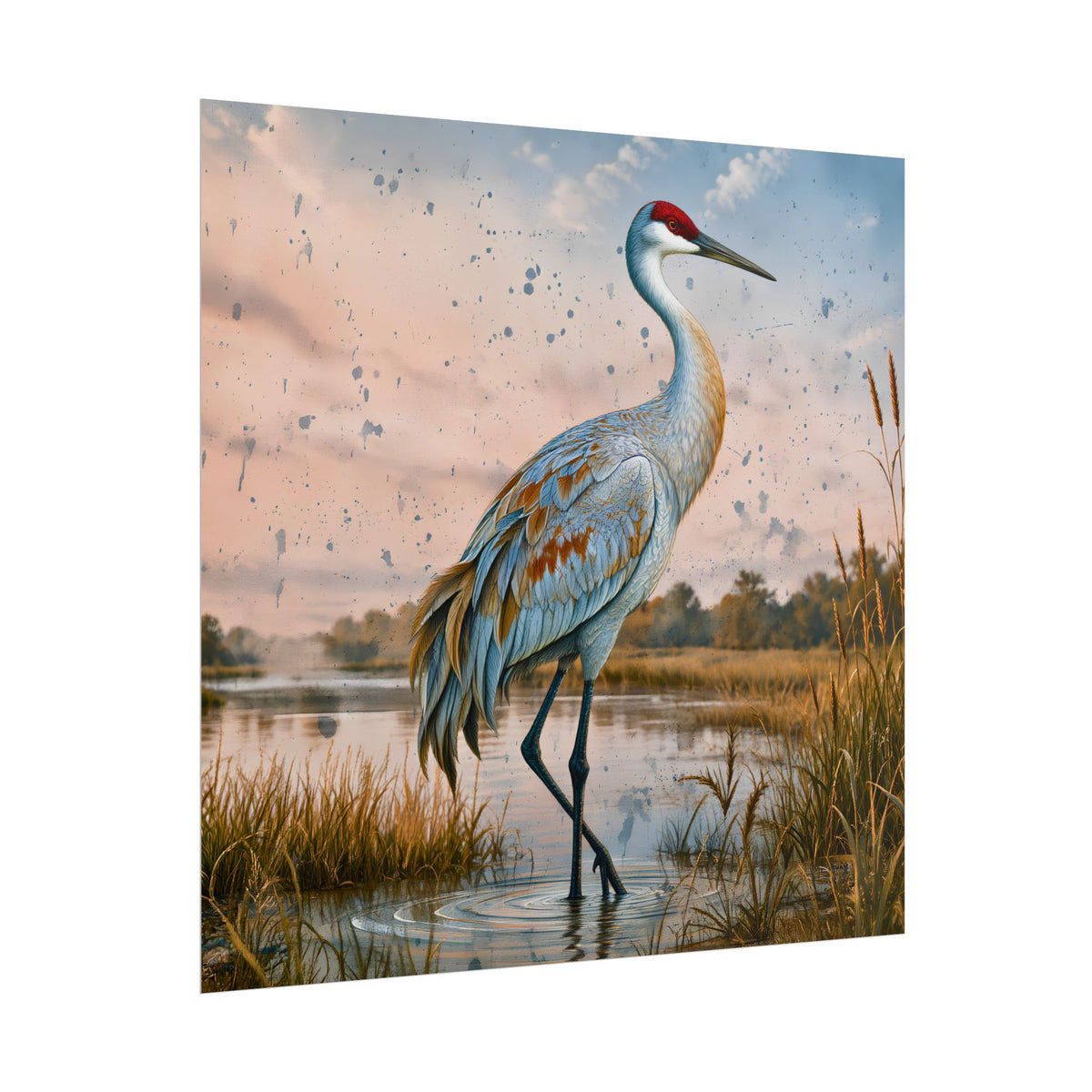 Sandhill Crane Rolled Poster | Wetland Bird Art, Marsh Landscape