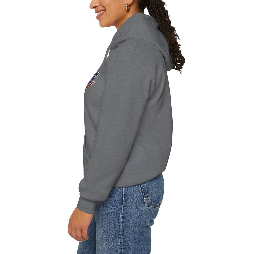 Embroidered Ohio Hoodie | Vintage Script Sweatshirt, Unisex Pullover