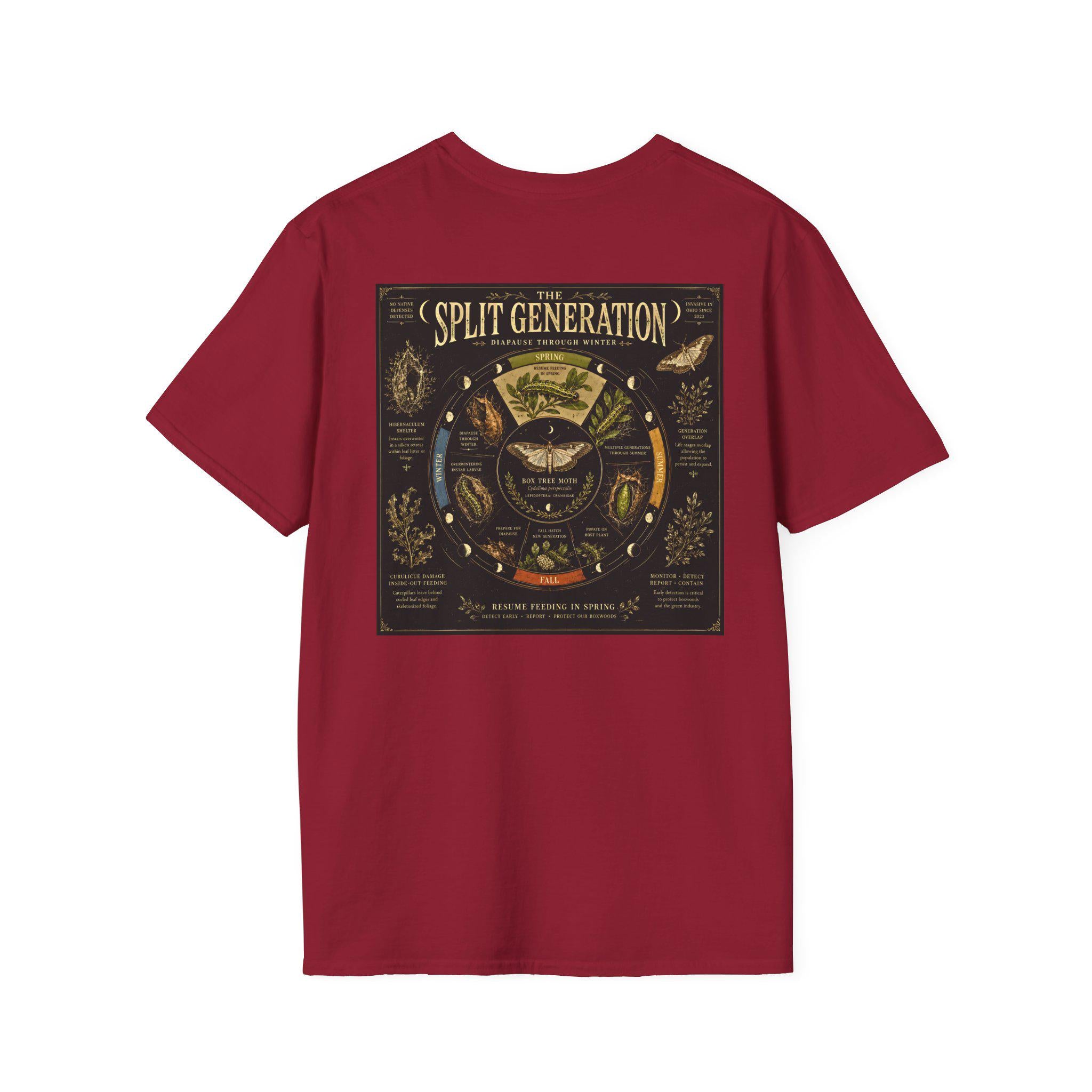 Box Tree Moth Lifecycle Shirt