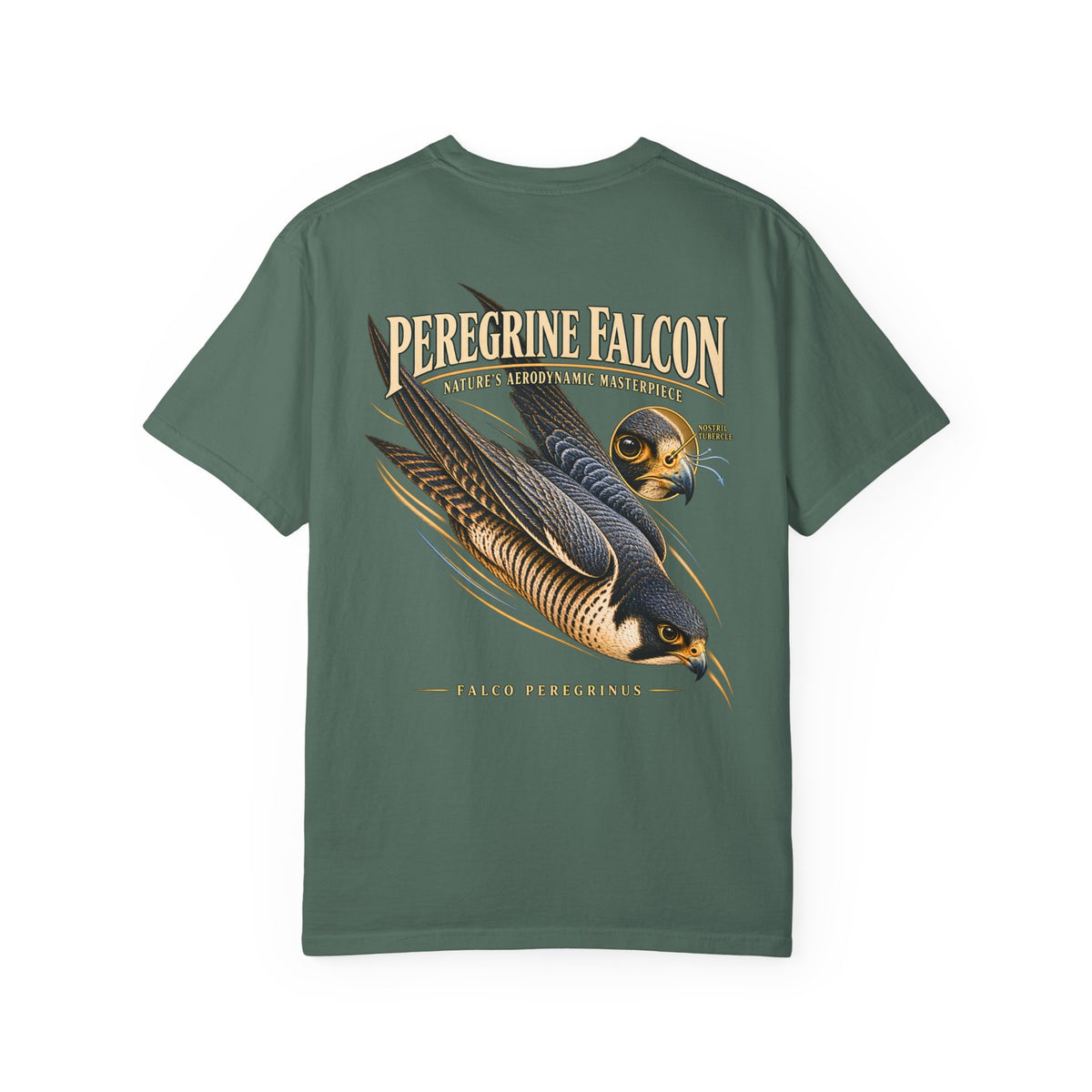 Peregrine Falcon Shirt, Vintage Bird of Prey Graphic Tee, Falconry Gift, Wildlife Lover T-Shirt, Nature Science Shirt, Front and Back Print