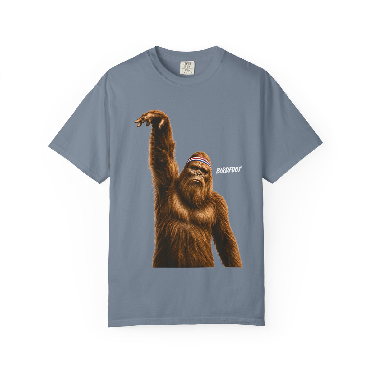 Birdfoot Bigfoot Basketball Shirt, Funny Sasquatch Sports, Vintage Basketball Graphic, Larry Bird Inspired Cryptid T-Shirt, Comfort Colors