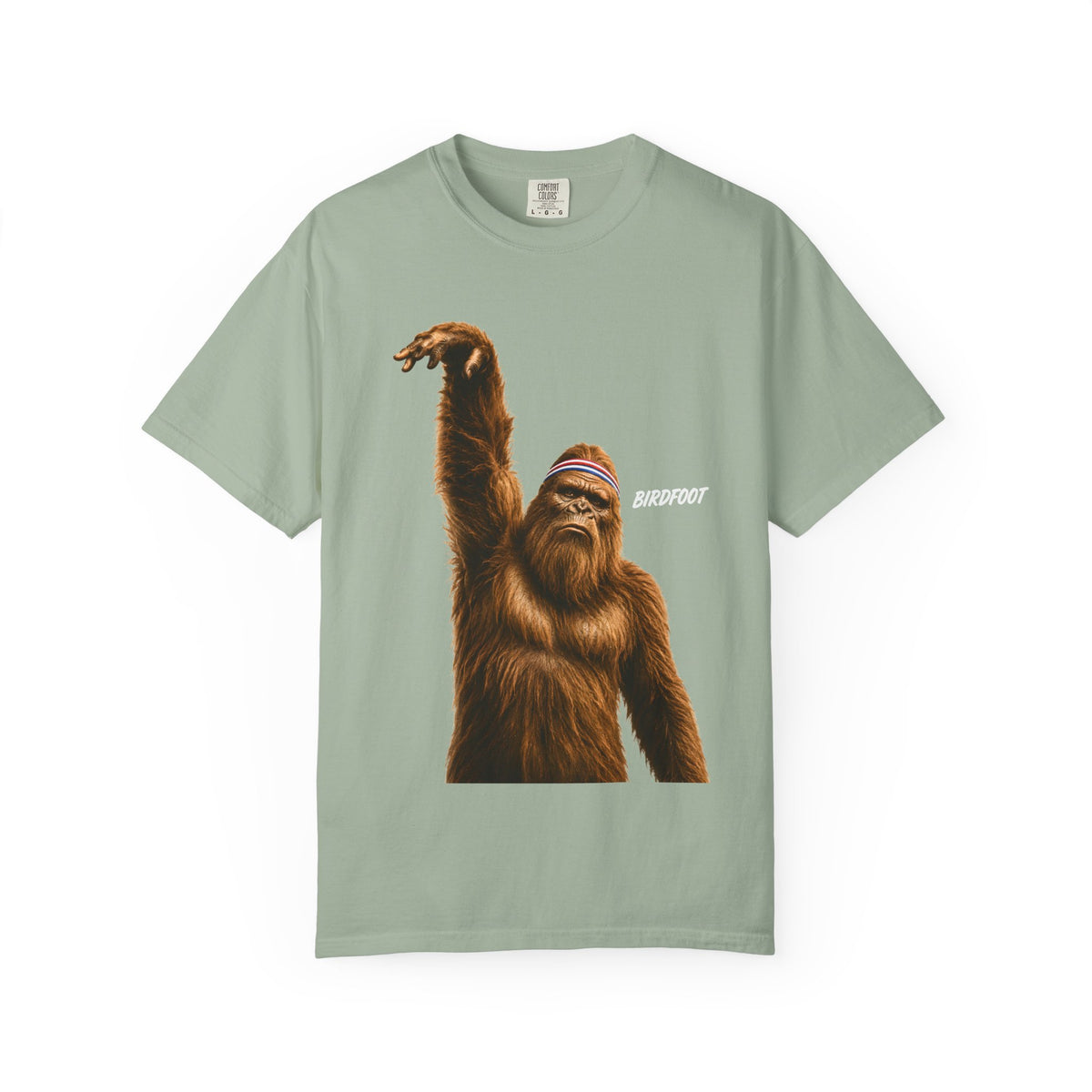 Birdfoot Bigfoot Basketball Shirt, Funny Sasquatch Sports, Vintage Basketball Graphic, Larry Bird Inspired Cryptid T-Shirt, Comfort Colors