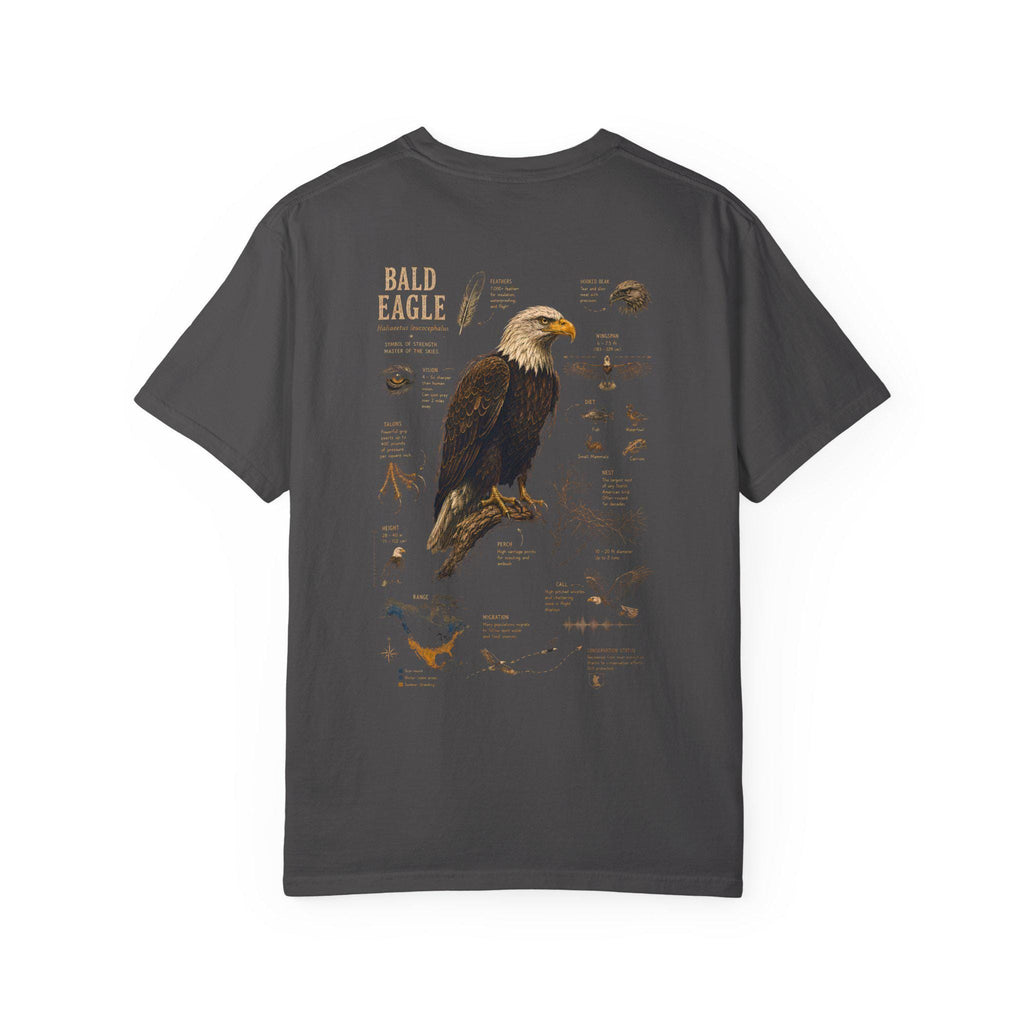 Bald Eagle Field Guide Shirt, Vintage Natural History Wildlife Art Tee