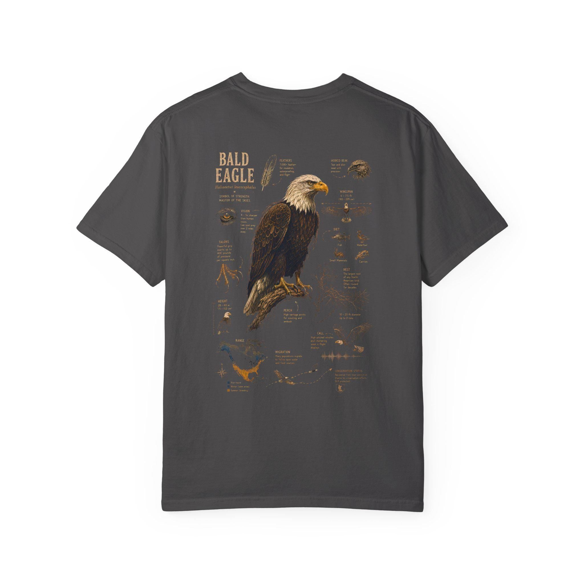 Bald Eagle Field Guide Shirt, Vintage Natural History Wildlife Art Tee