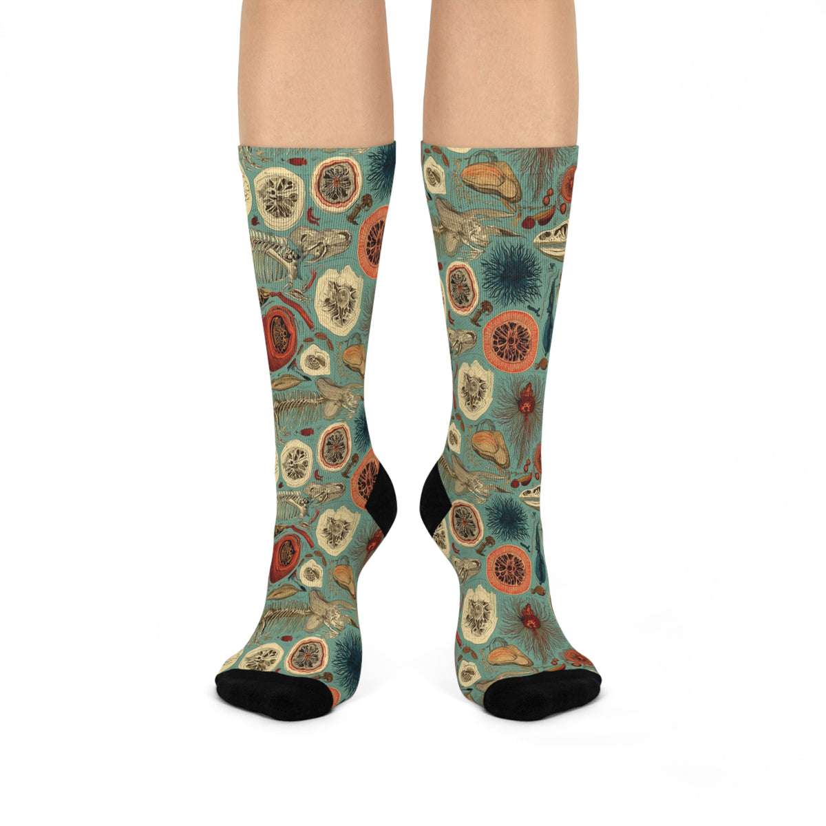 Impossible Zoology Crew Socks | Teal Skeleton Specimen Print