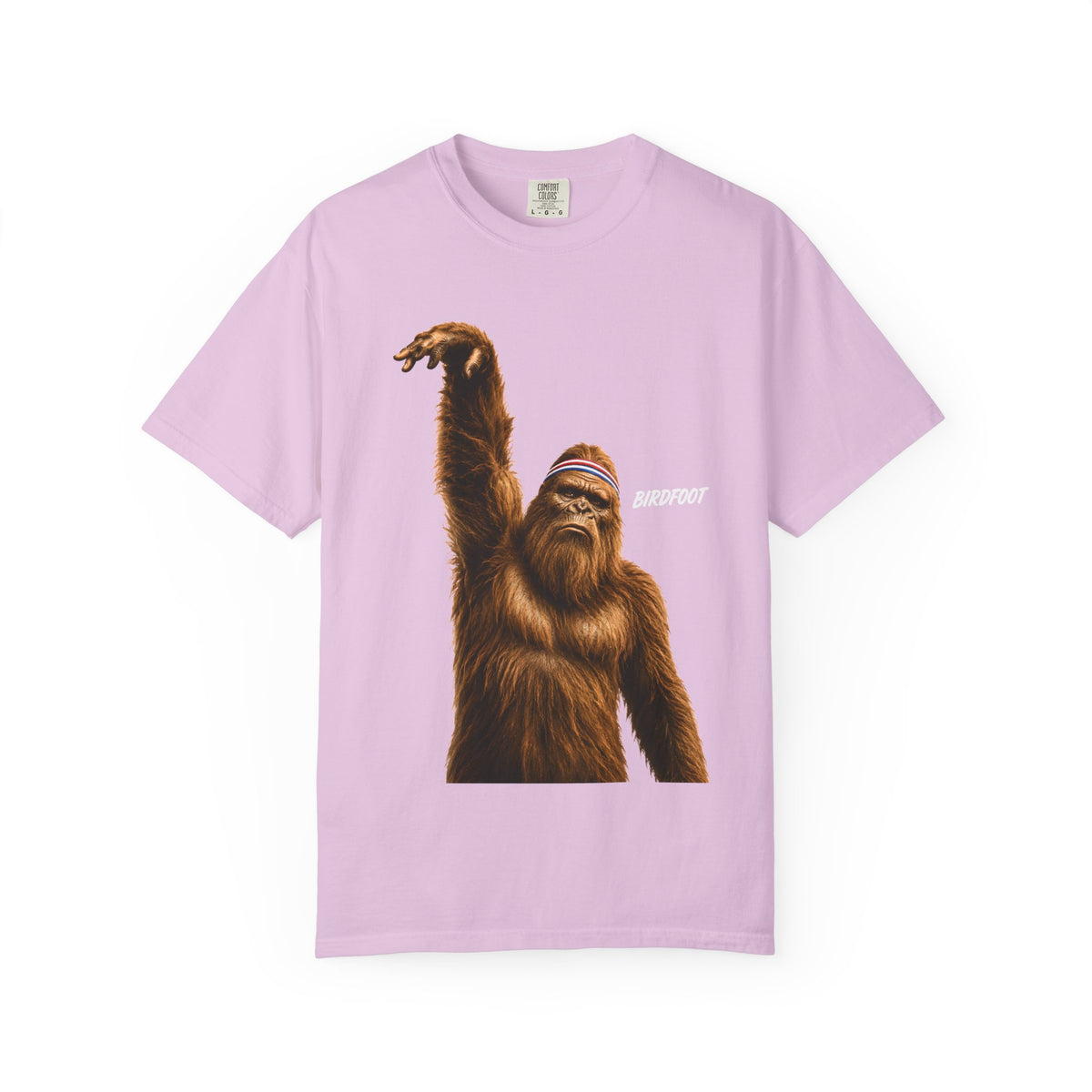 Birdfoot Bigfoot Basketball Shirt, Funny Sasquatch Sports, Vintage Basketball Graphic, Larry Bird Inspired Cryptid T-Shirt, Comfort Colors