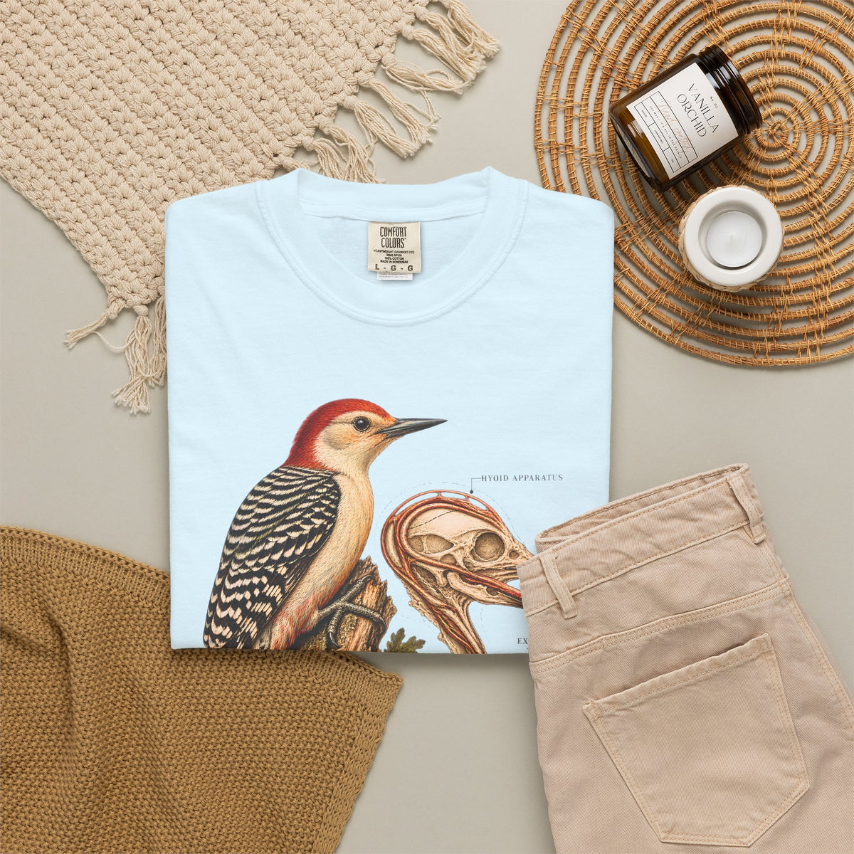 Woodpecker Anatomy Shirt, Vintage Bird Graphic Tee, Red Bellied Woodpecker, Ornithology Gift, Wildlife Science T-Shirt, Comfort Colors