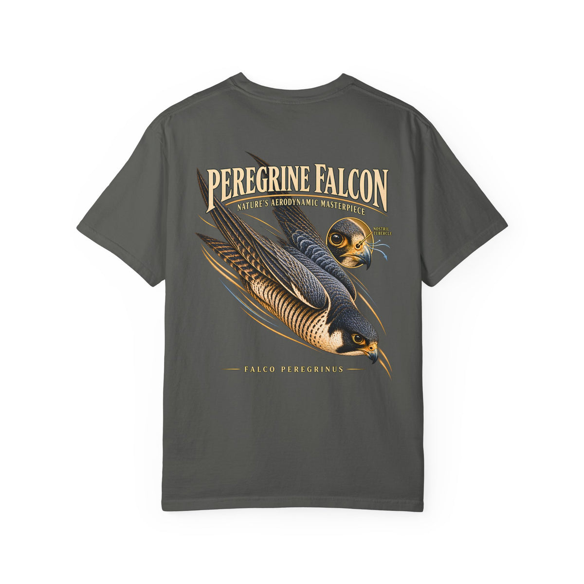Peregrine Falcon Shirt, Vintage Bird of Prey Graphic Tee, Falconry Gift, Wildlife Lover T-Shirt, Nature Science Shirt, Front and Back Print