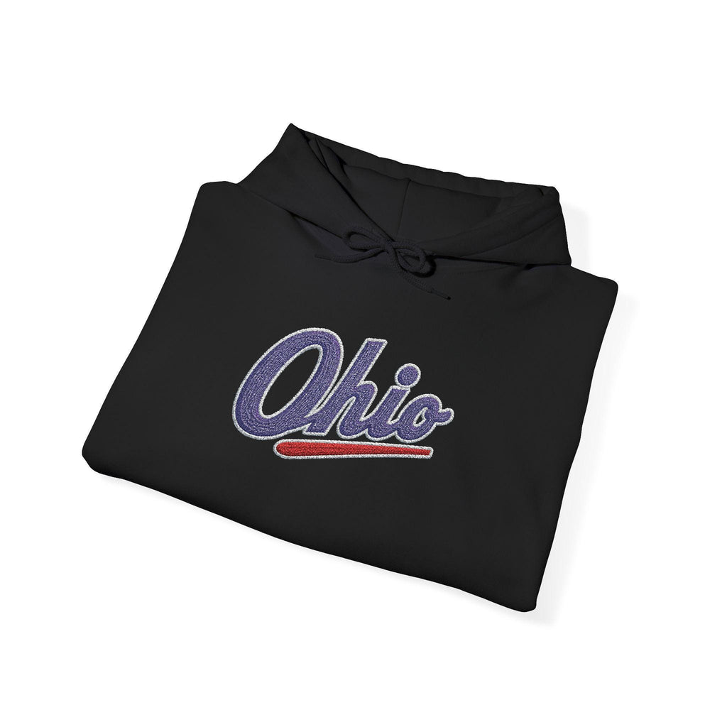 Embroidered Ohio Hoodie | Vintage Script Sweatshirt, Unisex Pullover