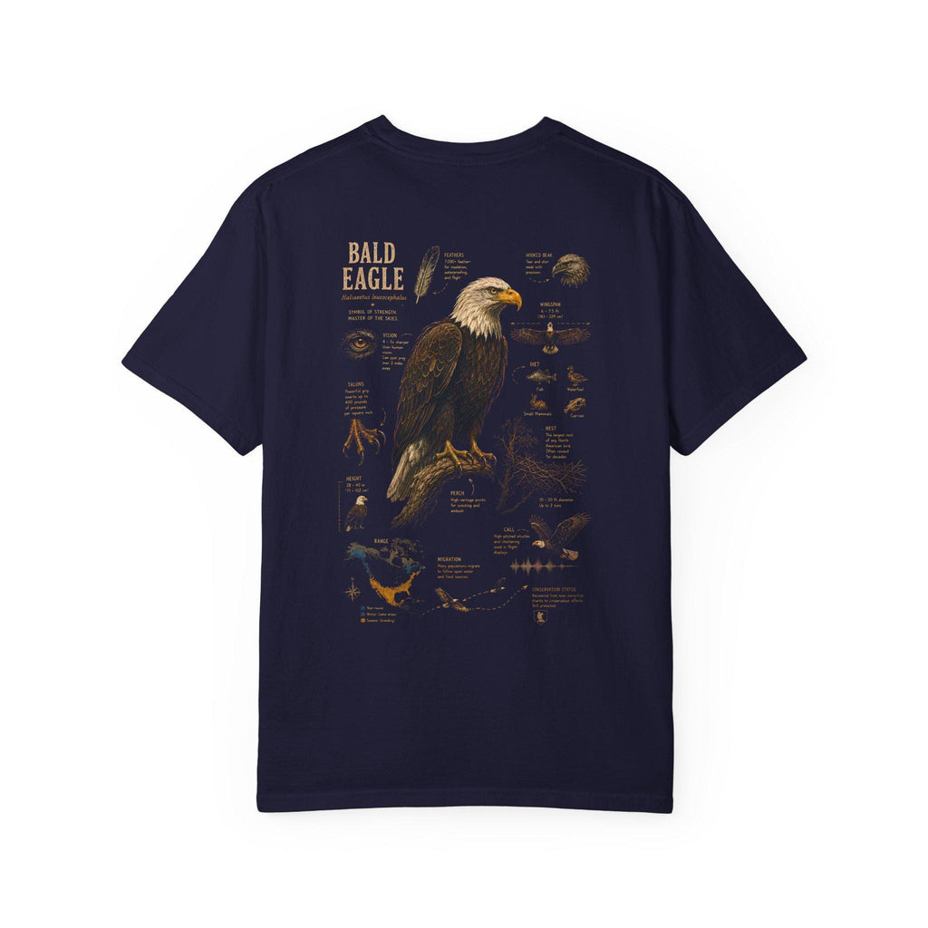 Bald Eagle Field Guide Shirt, Vintage Natural History Wildlife Art Tee