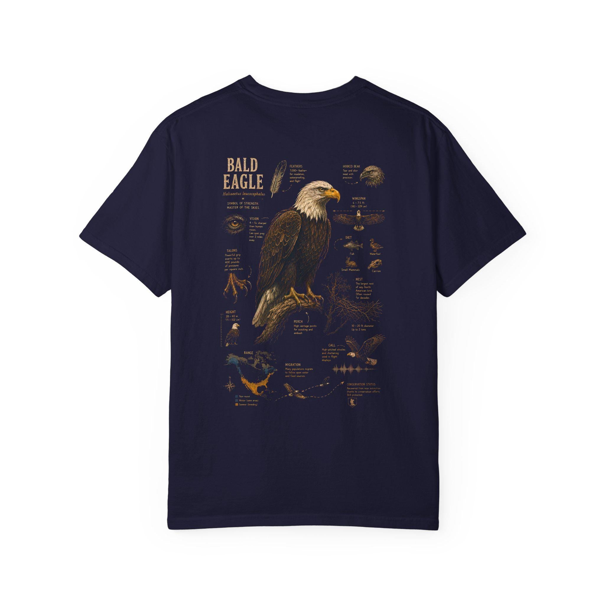 Bald Eagle Field Guide Shirt, Vintage Natural History Wildlife Art Tee