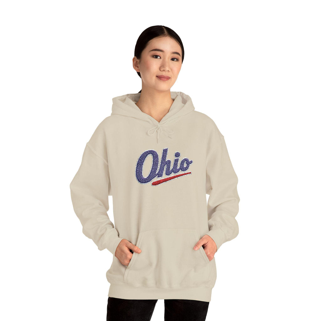 Embroidered Ohio Hoodie | Vintage Script Sweatshirt, Unisex Pullover